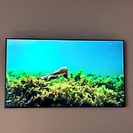 First Dream Affittacamere