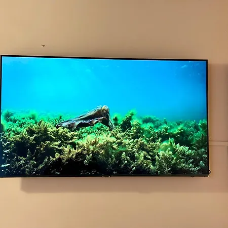 Pensionat First Dream