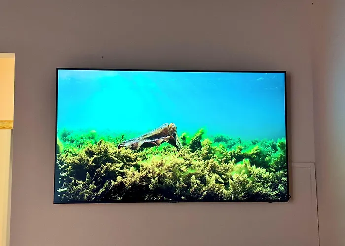 First Dream Affittacamere