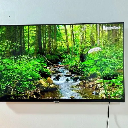 Gasthuis First Dream Venetië