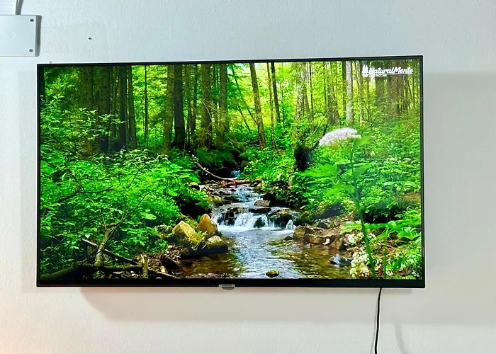 Gæstehus First Dream 4*